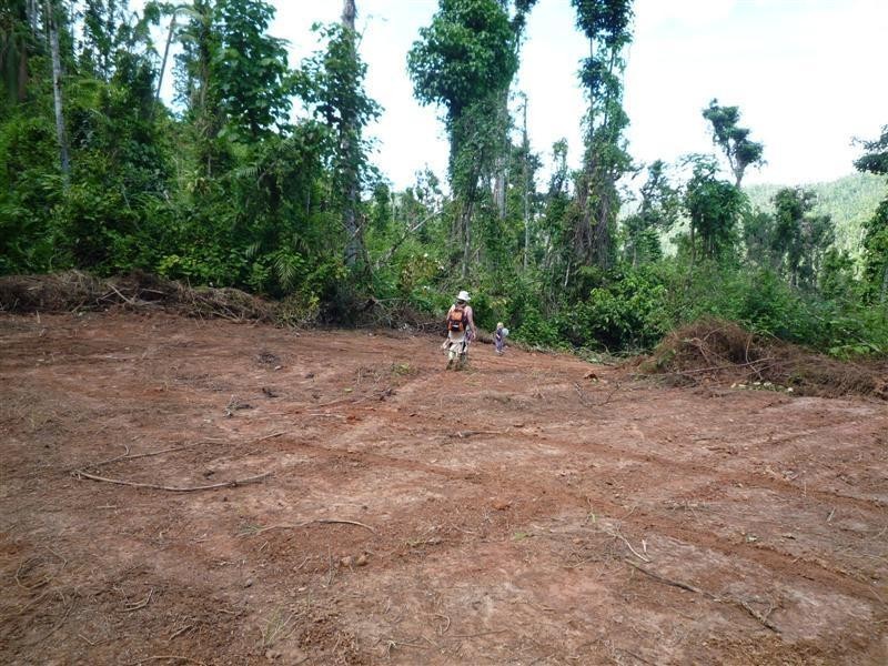 Lot 1, 228 Jackson Road, El Arish QLD 4855