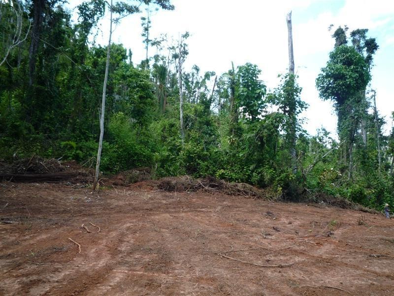 Lot 1, 228 Jackson Road, El Arish QLD 4855