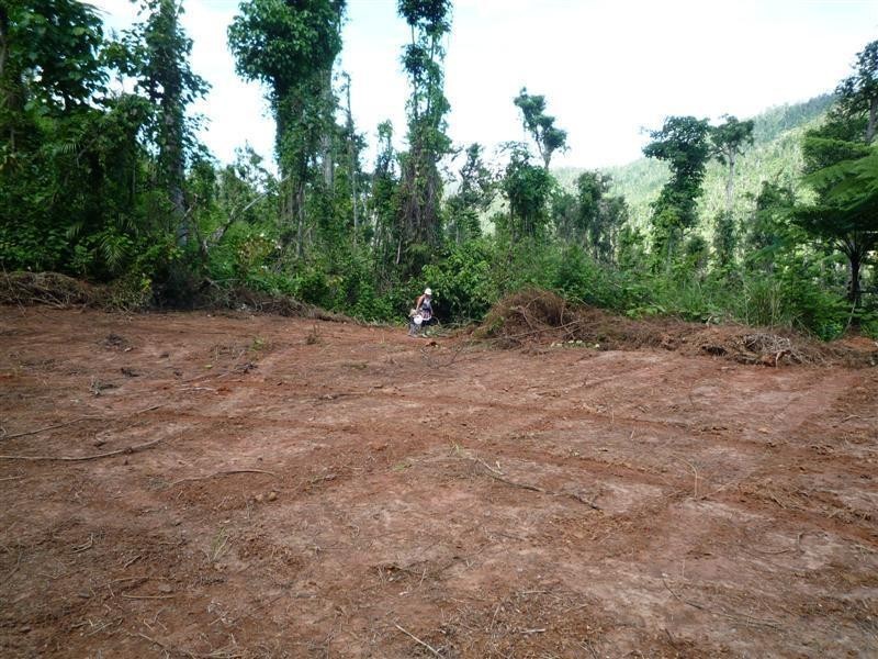 Lot 1, 228 Jackson Road, El Arish QLD 4855