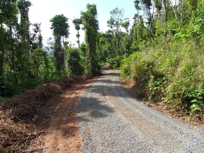 Lot 1, 228 Jackson Road, El Arish QLD 4855