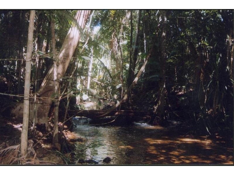 Lot 6, 6 Butler Road, Bingil Bay QLD 4852