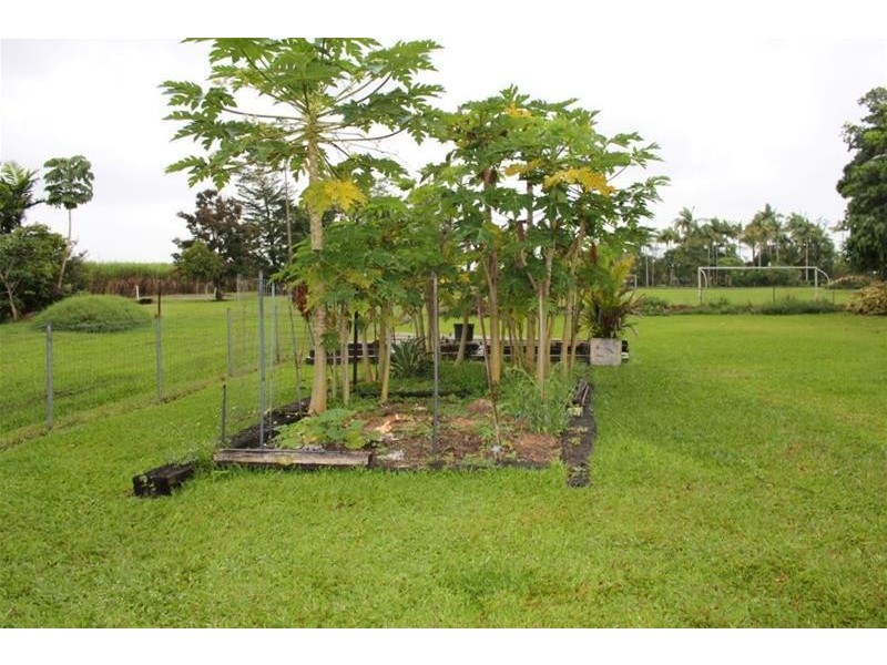 6 Walter Lever Estate Road, Silkwood QLD 4856