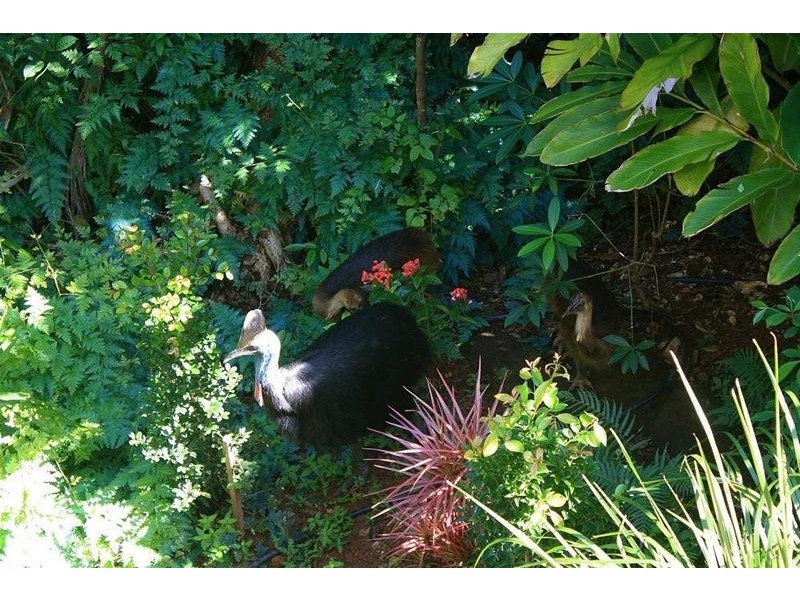 12 Explorers Drive, South Mission Beach QLD 4852