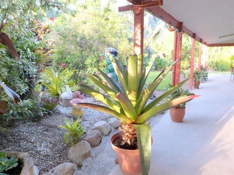 East Feluga QLD 4854