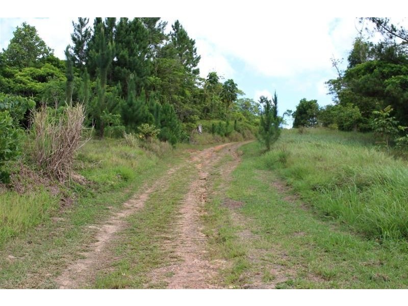 112 Hill Sixty Road, Jaffa QLD 4855