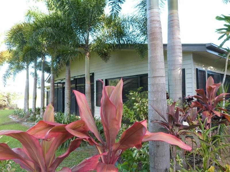 717 Old Tully Road, Djarawong QLD 4854