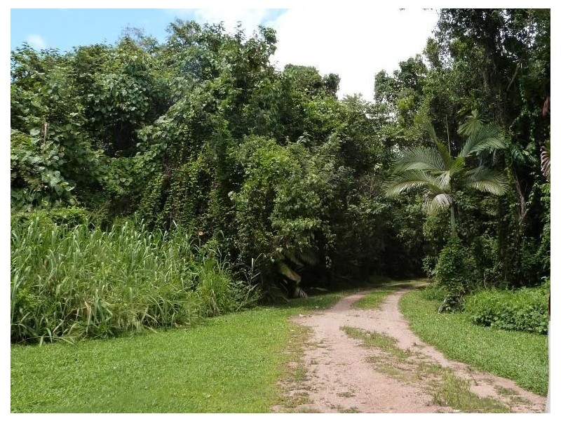 17 Kurrajong Close, Wongaling Beach QLD 4852