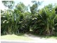 17 Kurrajong Close, Wongaling Beach QLD 4852