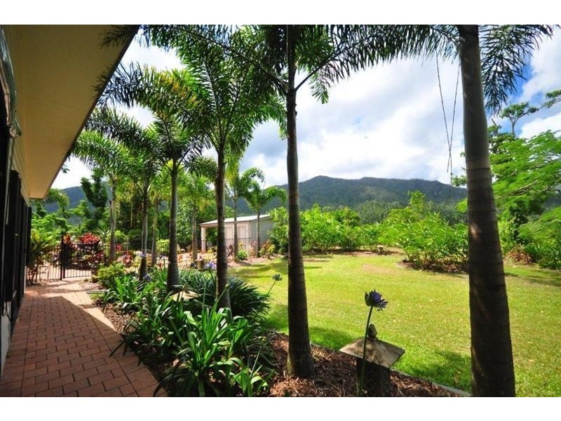 717 Old Tully Road, Djarawong QLD 4854