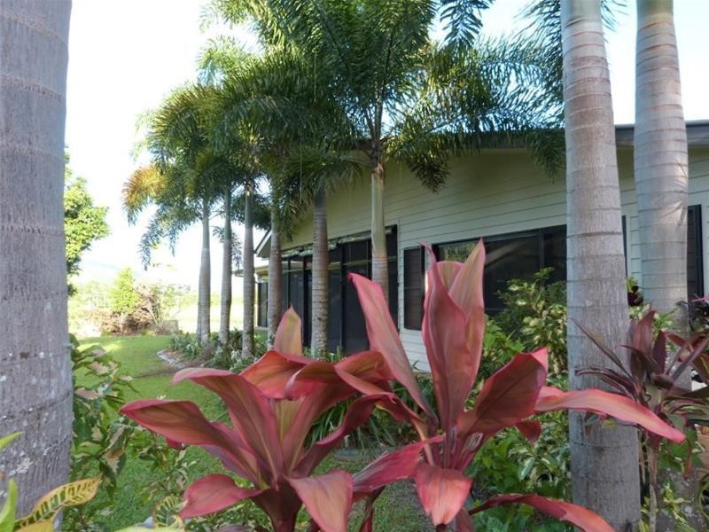 717 Old Tully Road, Djarawong QLD 4854