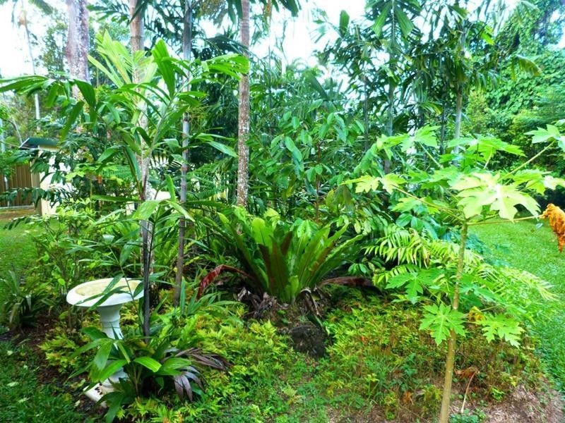 32 Bingil Bay Road, Bingil Bay QLD 4852