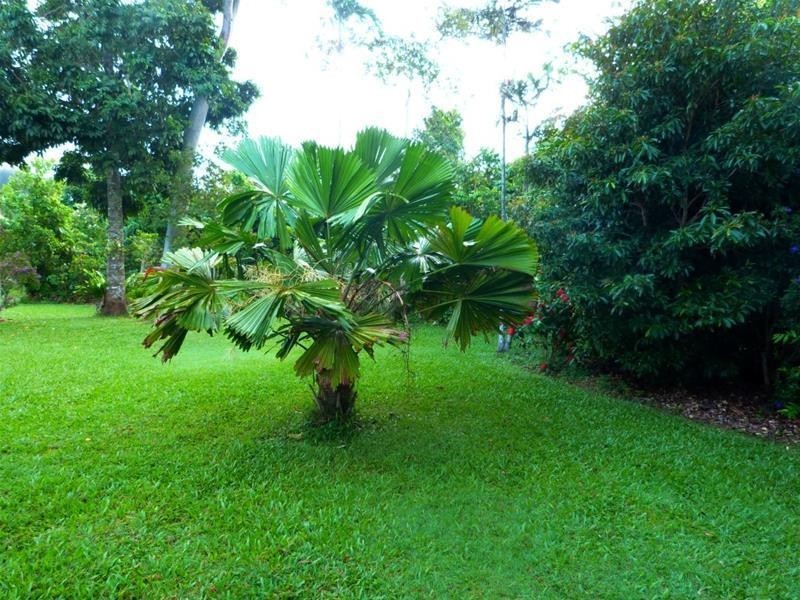 32 Bingil Bay Road, Bingil Bay QLD 4852