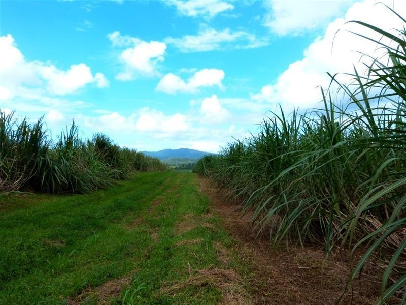 Lot 209 , 209 Dixon Road, El Arish QLD 4855