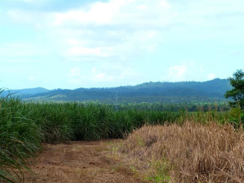 Lot 209 , 209 Dixon Road, El Arish QLD 4855