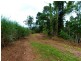 Lot 209 , 209 Dixon Road, El Arish QLD 4855