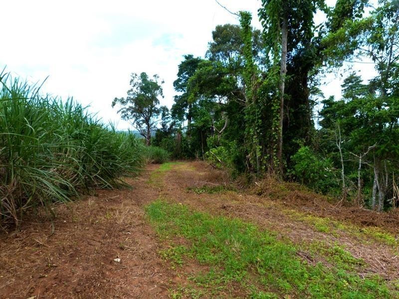 Lot 209 , 209 Dixon Road, El Arish QLD 4855