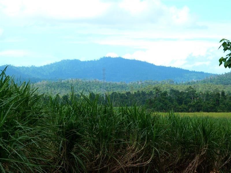 Lot 209 , 209 Dixon Road, El Arish QLD 4855