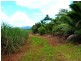 Lot 209 , 209 Dixon Road, El Arish QLD 4855