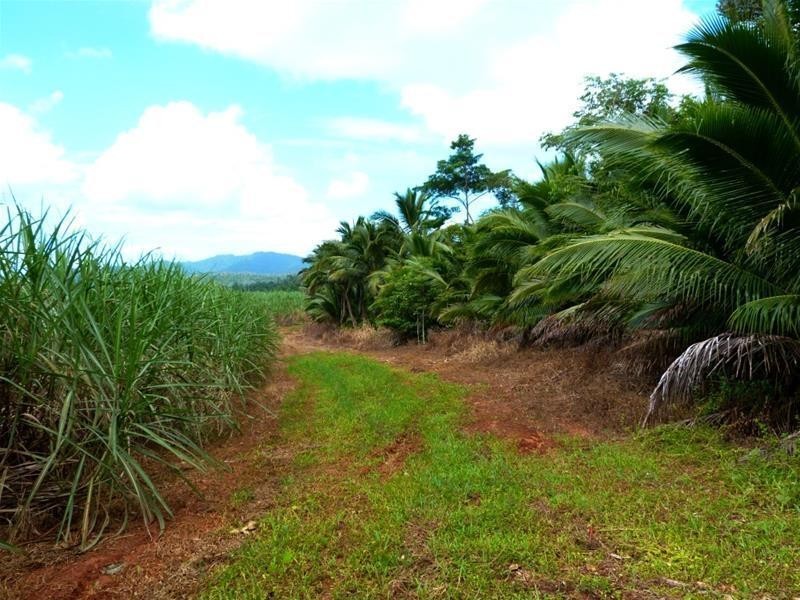 Lot 209 , 209 Dixon Road, El Arish QLD 4855