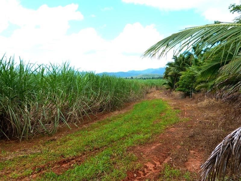 Lot 209 , 209 Dixon Road, El Arish QLD 4855