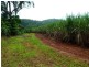 Lot 209 , 209 Dixon Road, El Arish QLD 4855