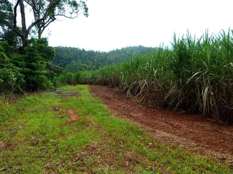 Lot 209 , 209 Dixon Road, El Arish QLD 4855