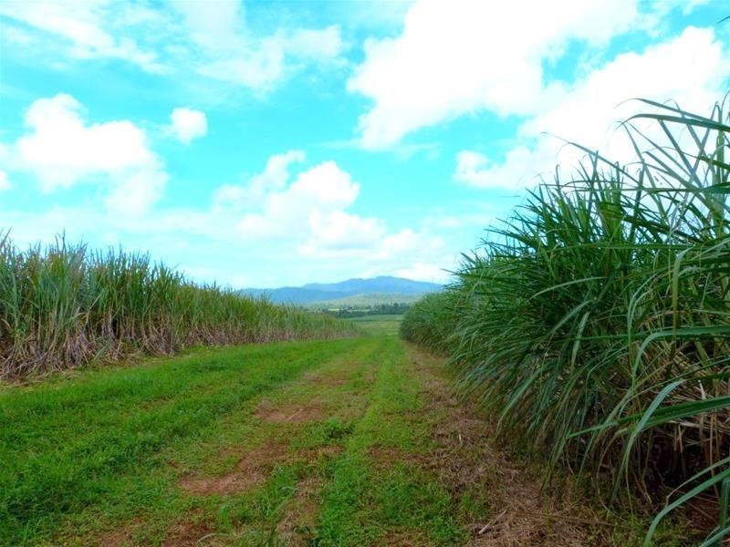 Lot 209 , 209 Dixon Road, El Arish QLD 4855