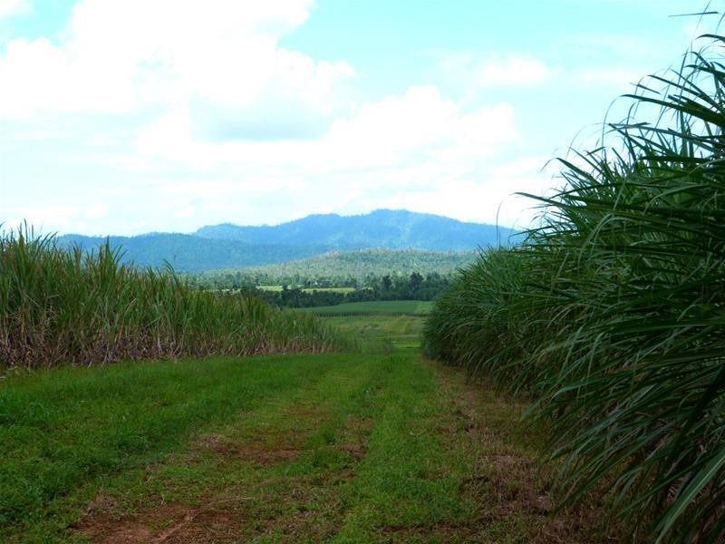 Lot 209 , 209 Dixon Road, El Arish QLD 4855