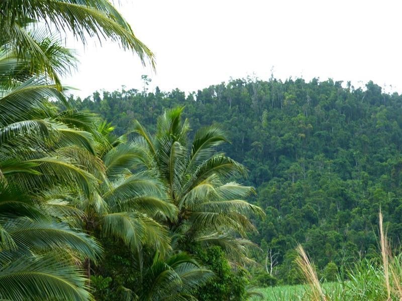 Lot 209 , 209 Dixon Road, El Arish QLD 4855