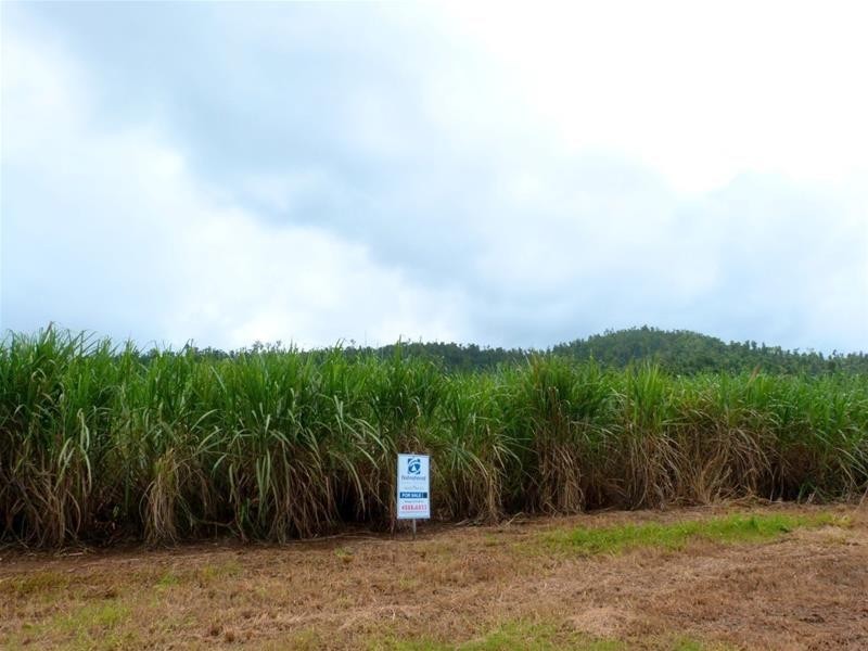 Lot 209 , 209 Dixon Road, El Arish QLD 4855