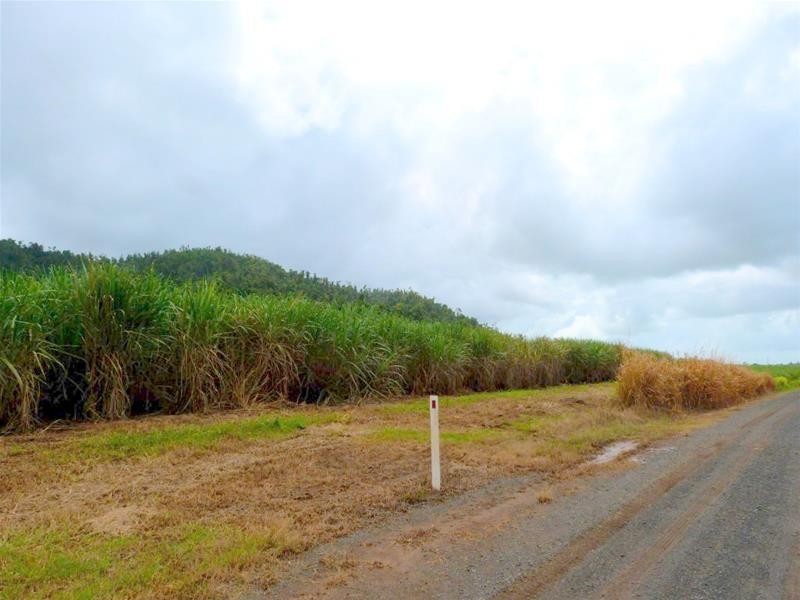 Lot 209 , 209 Dixon Road, El Arish QLD 4855