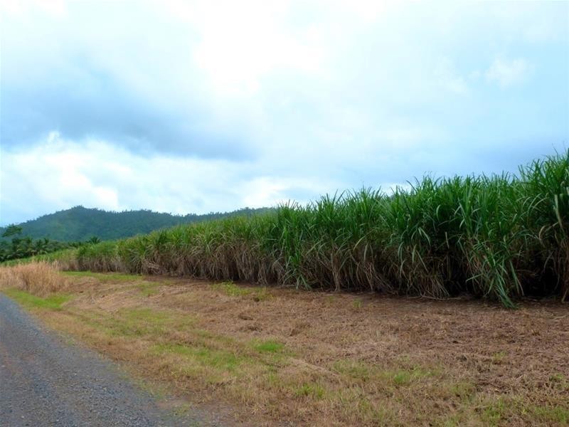 Lot 209 , 209 Dixon Road, El Arish QLD 4855