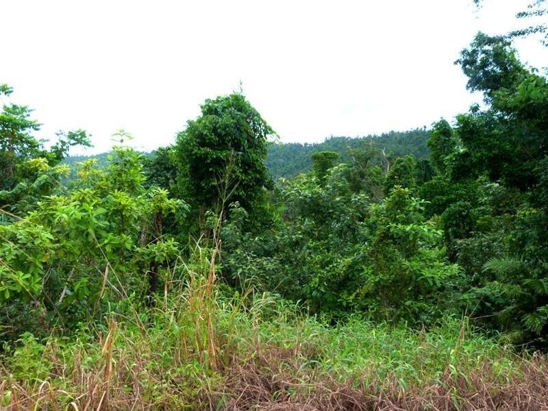 Lot 209 , 209 Dixon Road, El Arish QLD 4855