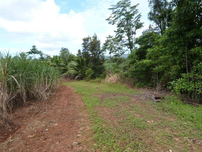 Lot 209 , 209 Dixon Road, El Arish QLD 4855