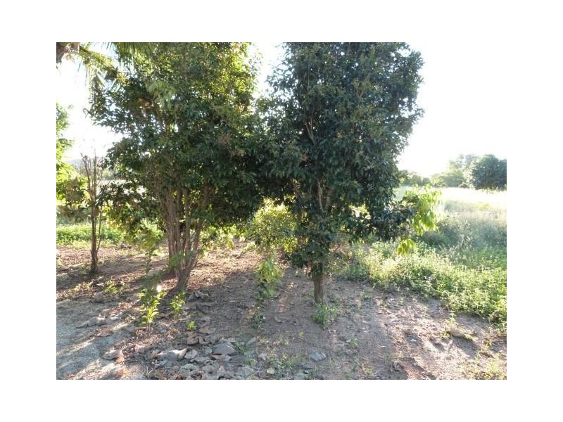 Lot 111, Lot 111 Coral Close, Mission Beach QLD 4852