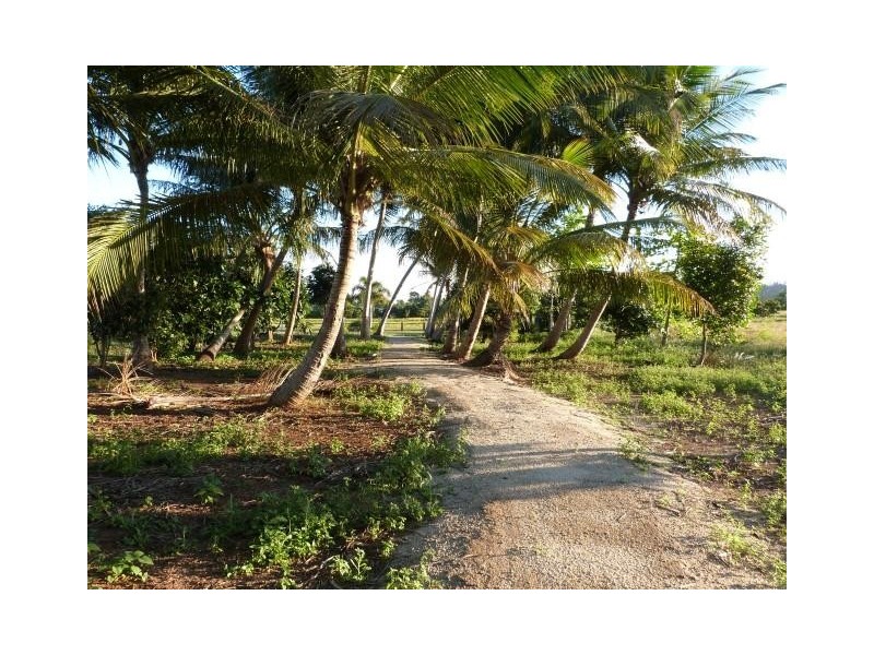 Lot 111, Lot 111 Coral Close, Mission Beach QLD 4852
