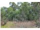 Lot 6, Lot 6 Stony Creek Road, Cardwell QLD 4849
