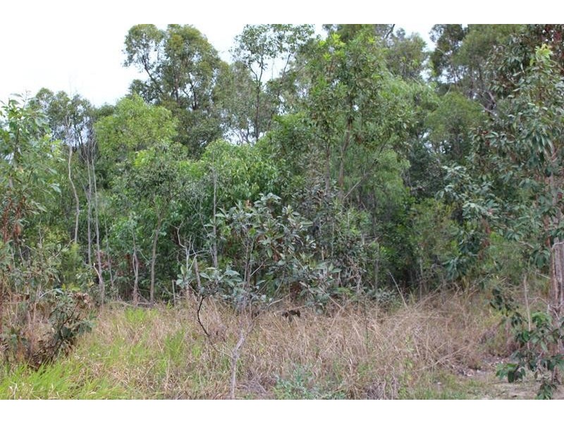 Lot 6, Lot 6 Stony Creek Road, Cardwell QLD 4849