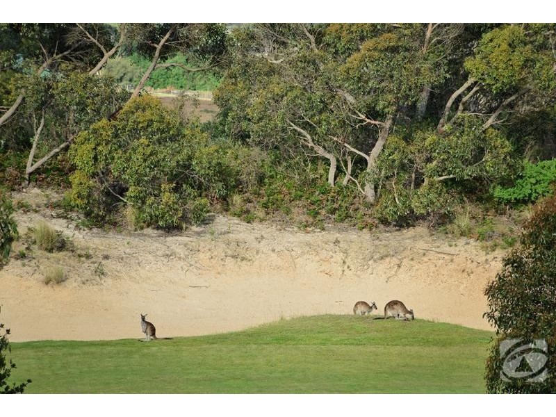 12 George Francis Drive, Mount Compass SA 5210