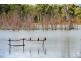 Lot 493 Marina Way, Mannum SA 5238