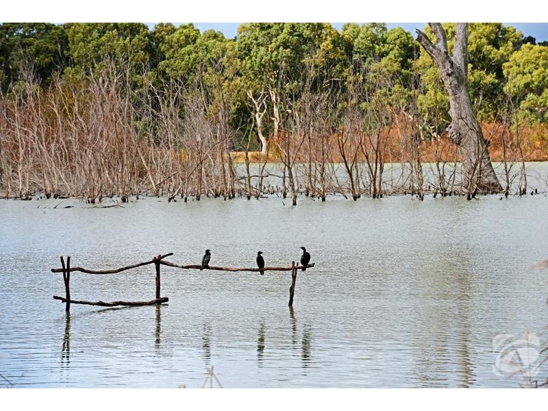 Lot 493 Marina Way, Mannum SA 5238