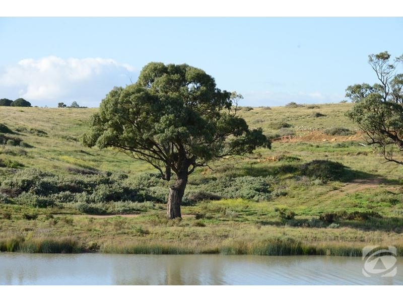 Lot 493 Marina Way, Mannum SA 5238