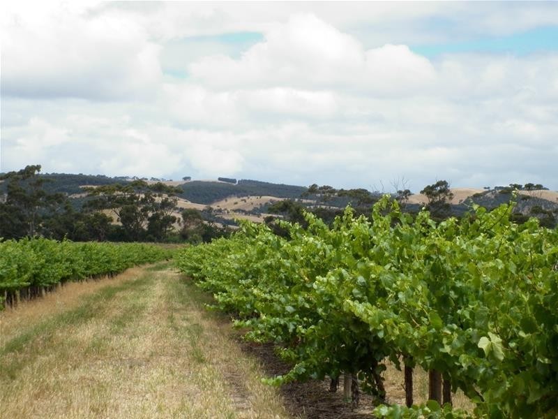 Lot 101 Little Road, Willunga SA 5172