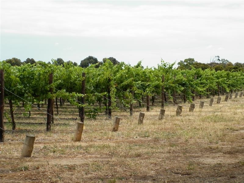 Lot 101 Little Road, Willunga SA 5172