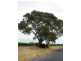 Lot 101 Little Road, Willunga SA 5172