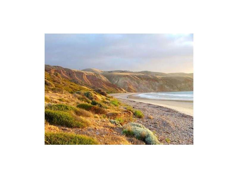 12 Riviera Road, Sellicks Beach SA 5174