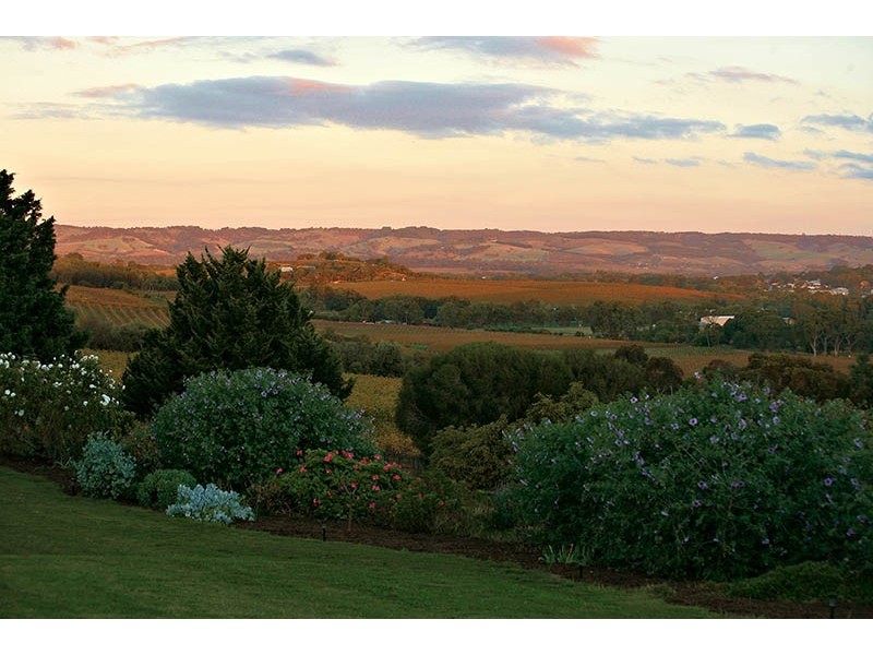 42 Stump Hill Road, Mclaren Vale SA 5171