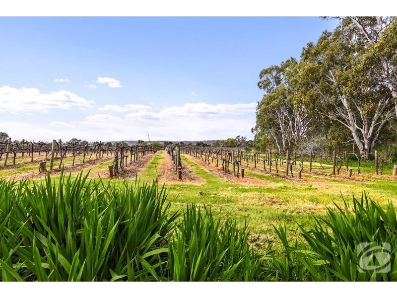 Lot 4 Hunt  Road, Mclaren Vale SA 5171