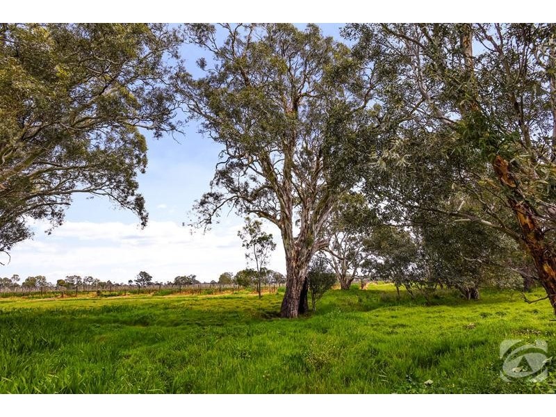 Lot 4 Hunt  Road, Mclaren Vale SA 5171