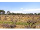 Lot 4 Hunt  Road, Mclaren Vale SA 5171